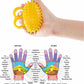 Spiky massage ball for hand and finger exercises, acupoints and responding body organs