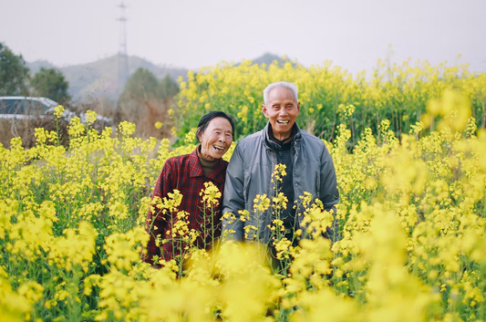 Your Guide to Life and Marriage in Your Senior Years