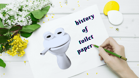 History of Wiping Butt before Modern Toilet Paper Invented