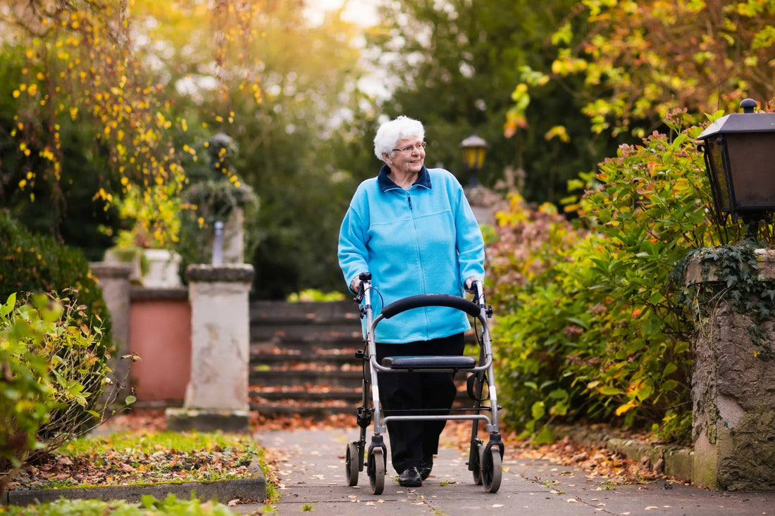 Mobility Aids to Improve Daily Living for the Elderly